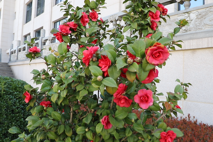 南宫NG28相信品牌的实力网址(中国)官网