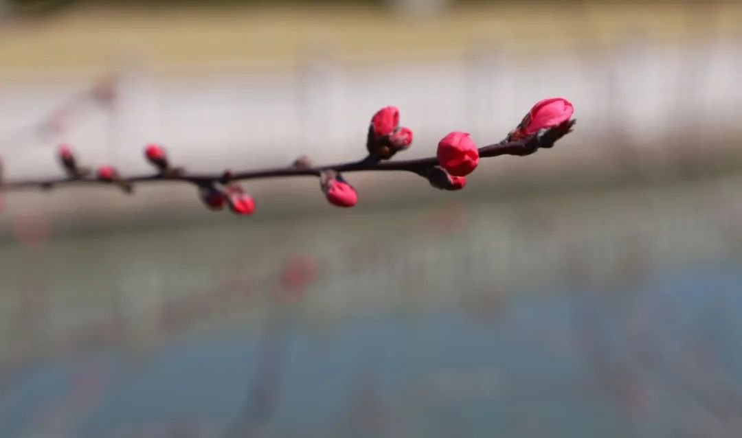 南宫NG28相信品牌的实力网址(中国)官网