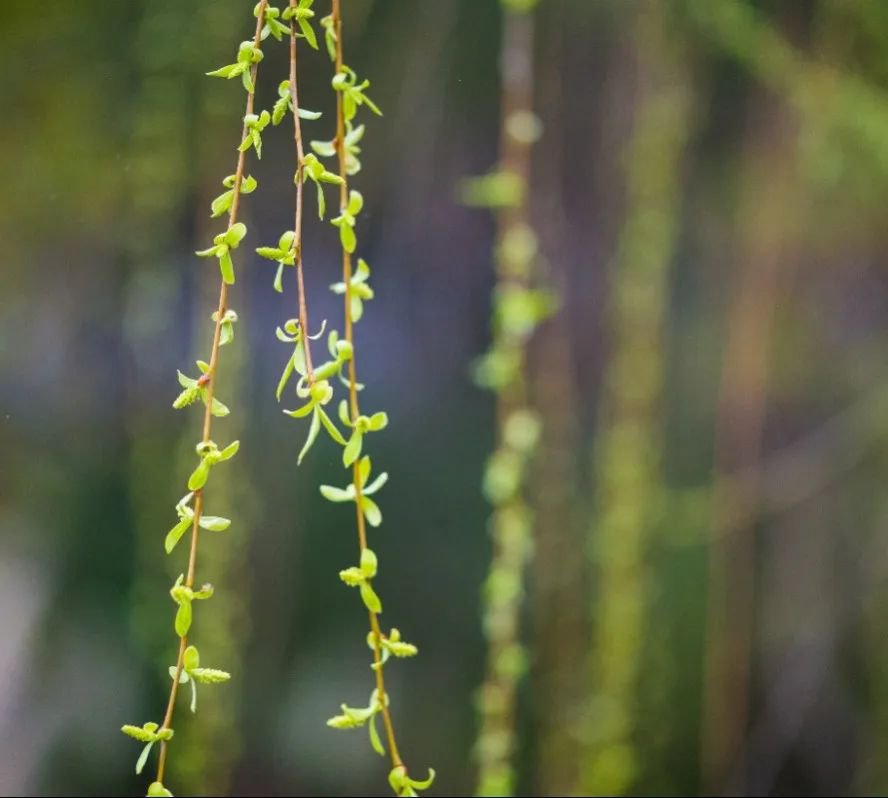 南宫NG28相信品牌的实力网址(中国)官网