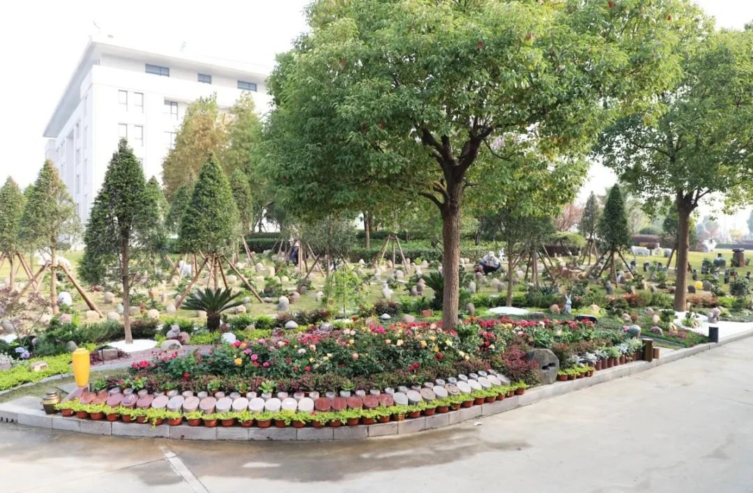 南宫NG28相信品牌的实力网址(中国)官网