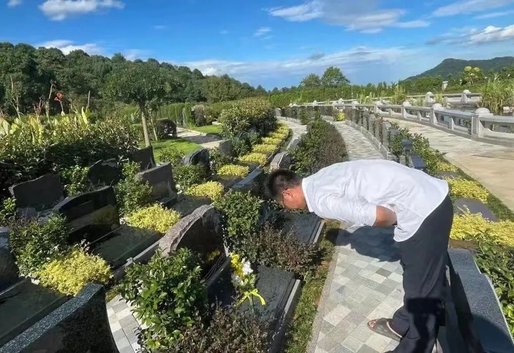 南宫NG28相信品牌的实力网址(中国)官网