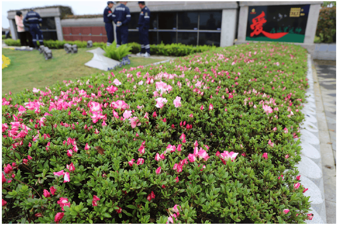 南宫NG28相信品牌的实力网址(中国)官网