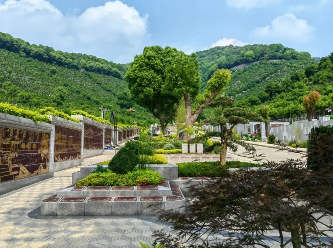 南宫NG28相信品牌的实力网址(中国)官网