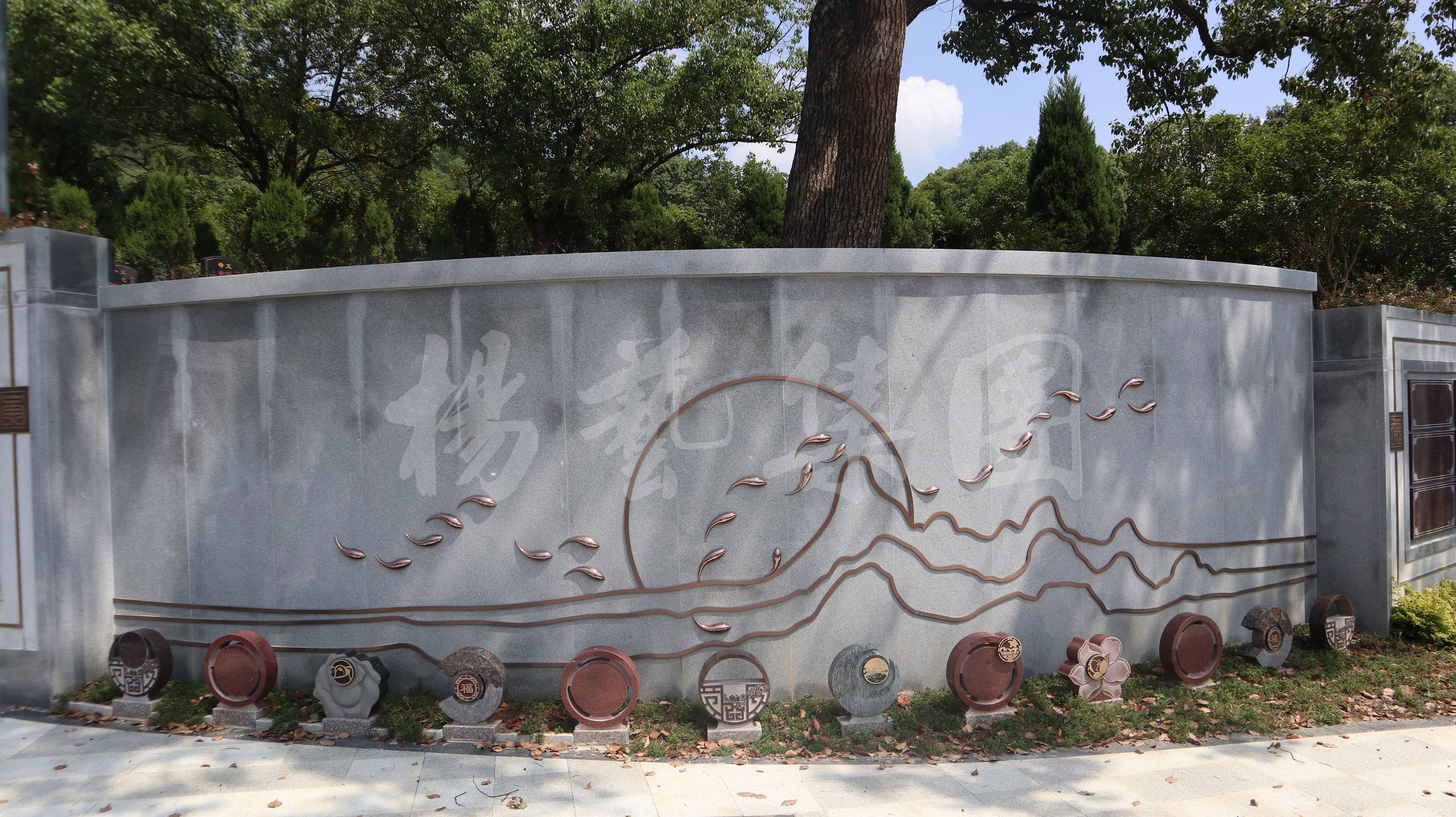 南宫NG28相信品牌的实力网址(中国)官网