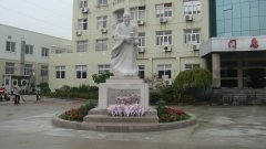 石雕匠心，，，，，，，，镌刻医者风华