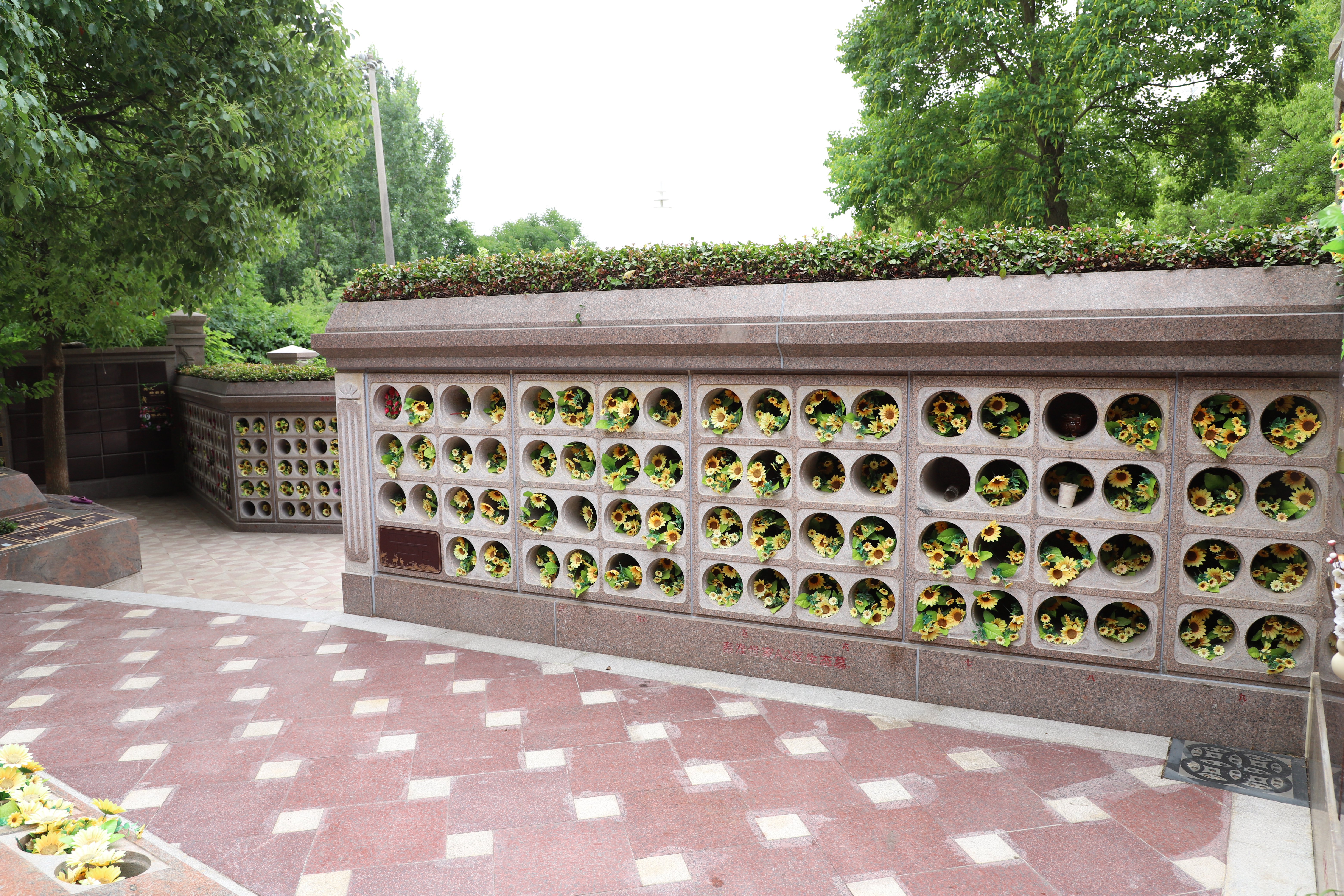 南宫NG28相信品牌的实力网址(中国)官网