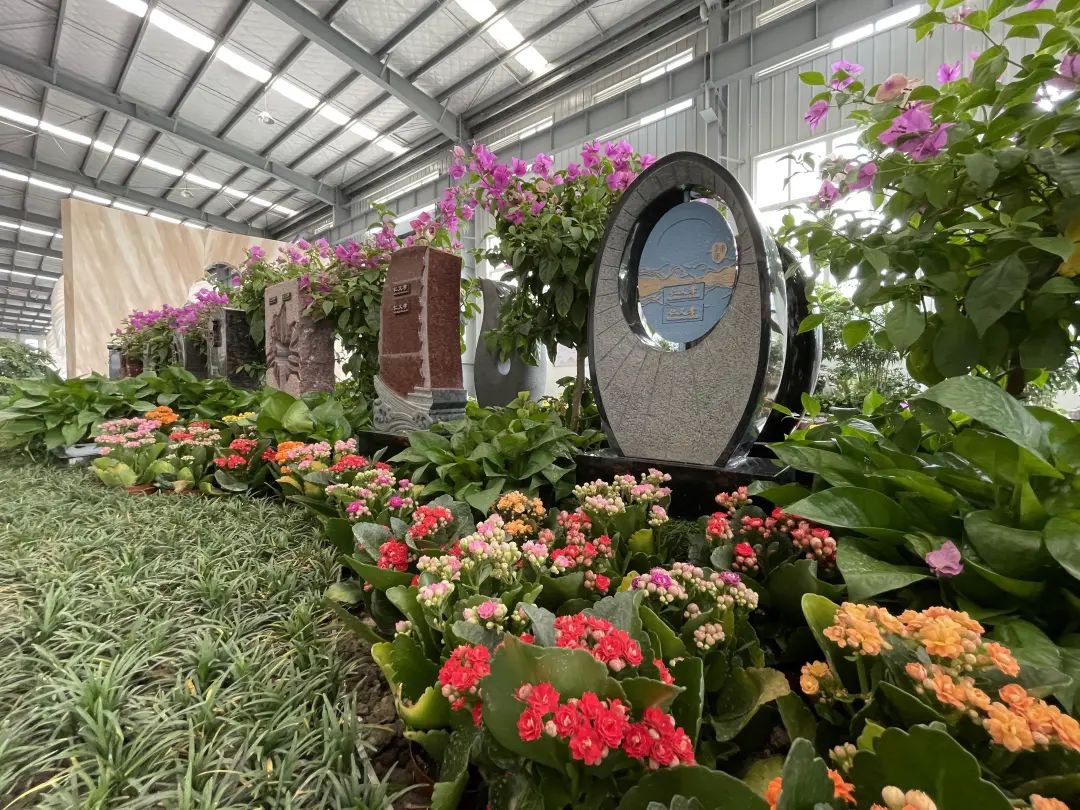 南宫NG28相信品牌的实力网址(中国)官网