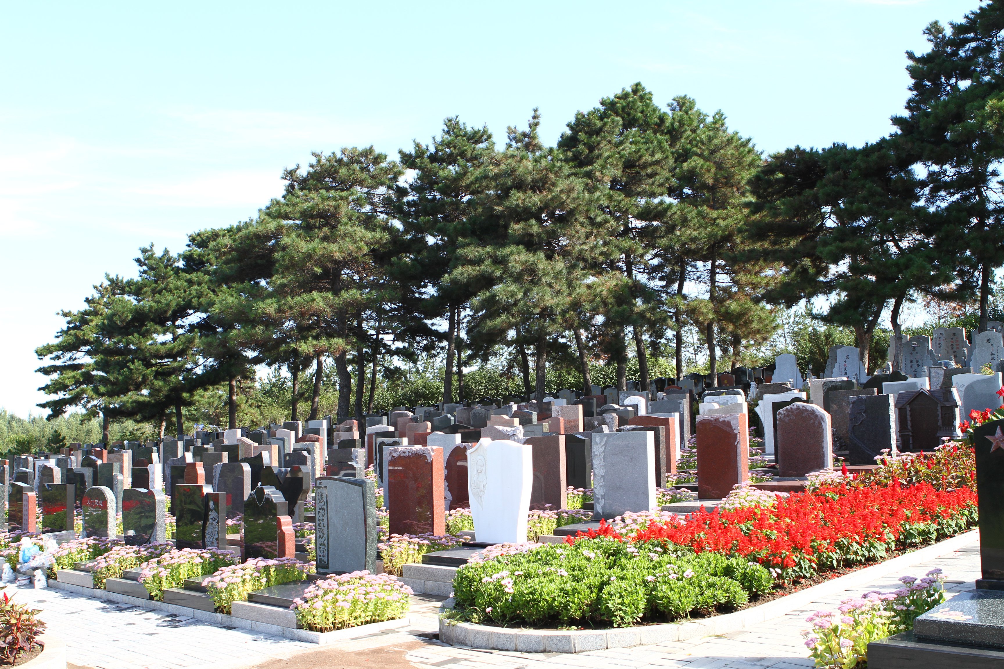 南宫NG28相信品牌的实力网址(中国)官网