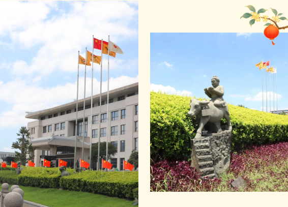 南宫NG28相信品牌的实力网址(中国)官网