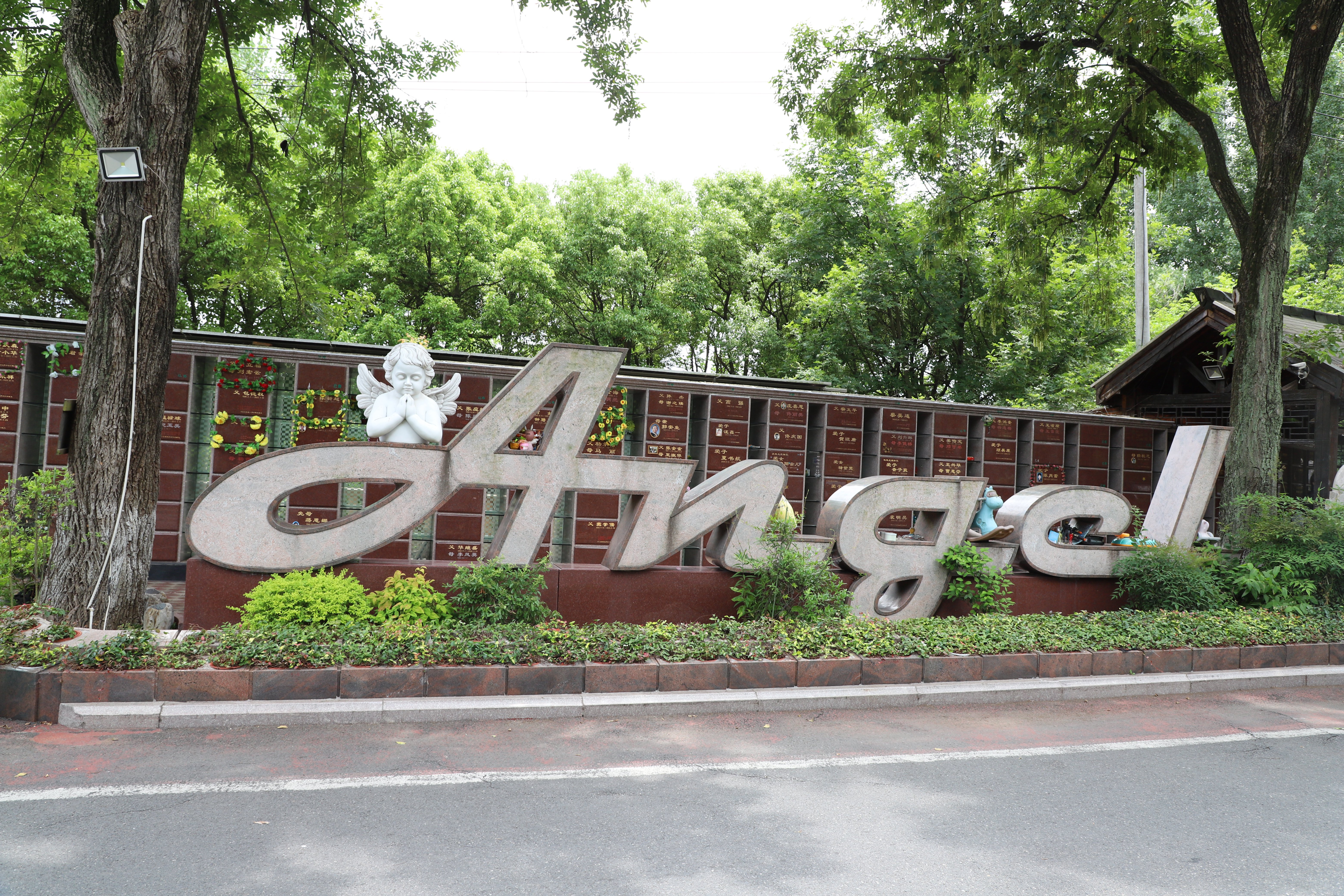 南宫NG28相信品牌的实力网址(中国)官网