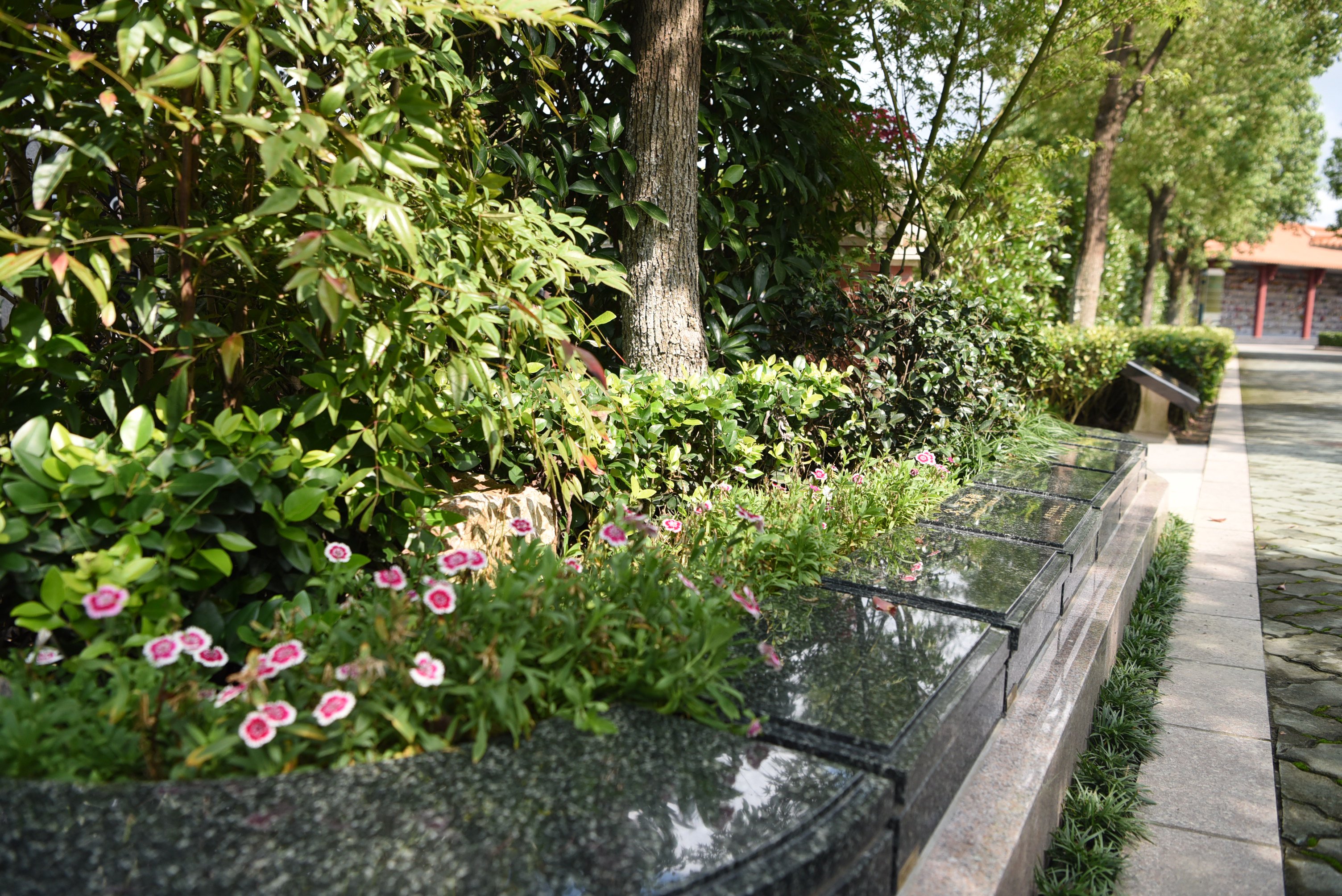 南宫NG28相信品牌的实力网址(中国)官网