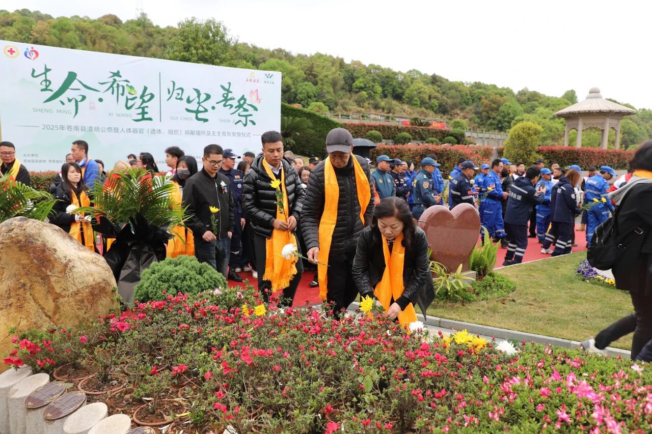 南宫NG28相信品牌的实力网址(中国)官网