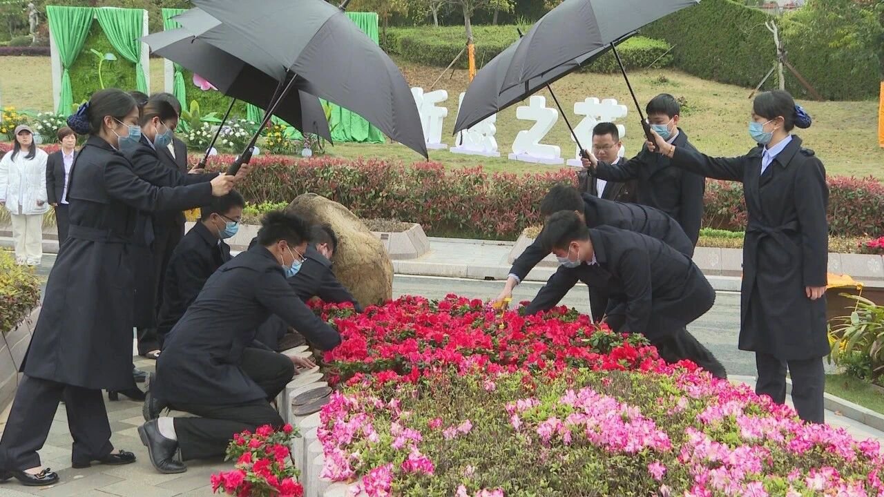 南宫NG28相信品牌的实力网址(中国)官网