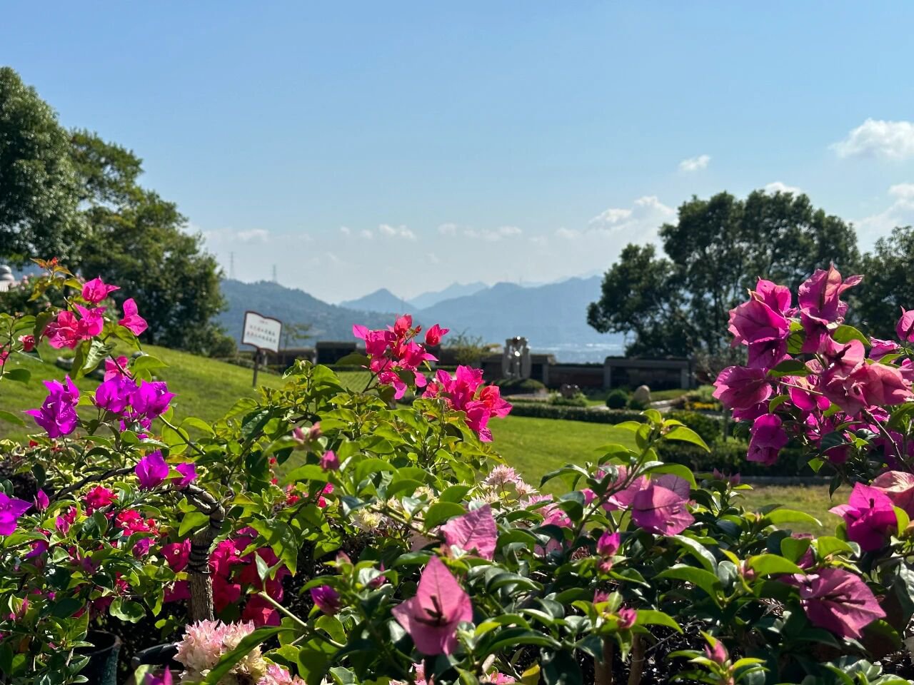 南宫NG28相信品牌的实力网址(中国)官网