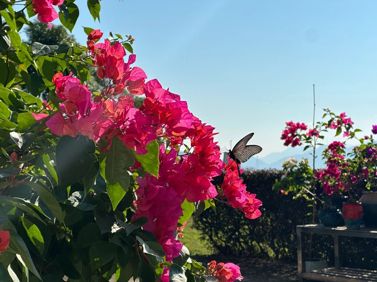 南宫NG28相信品牌的实力网址(中国)官网