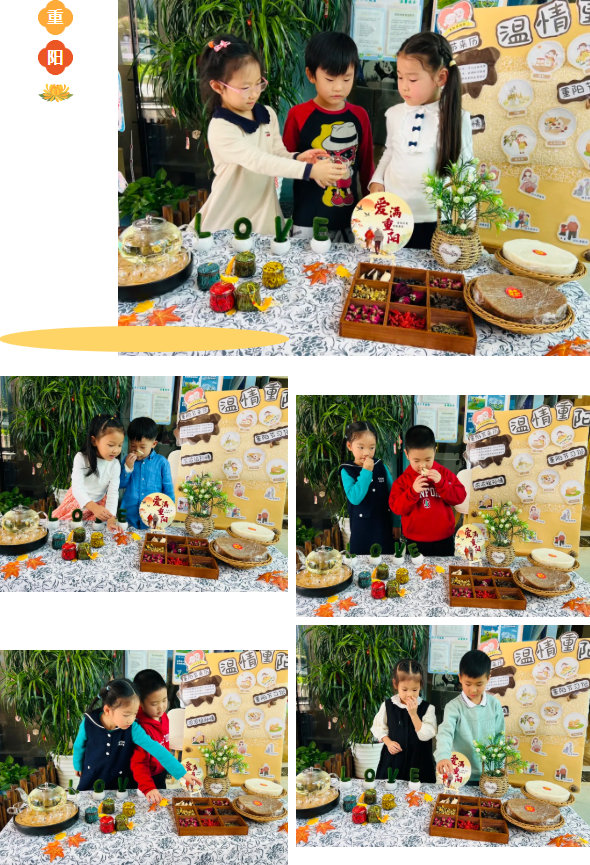 南宫NG28相信品牌的实力网址(中国)官网