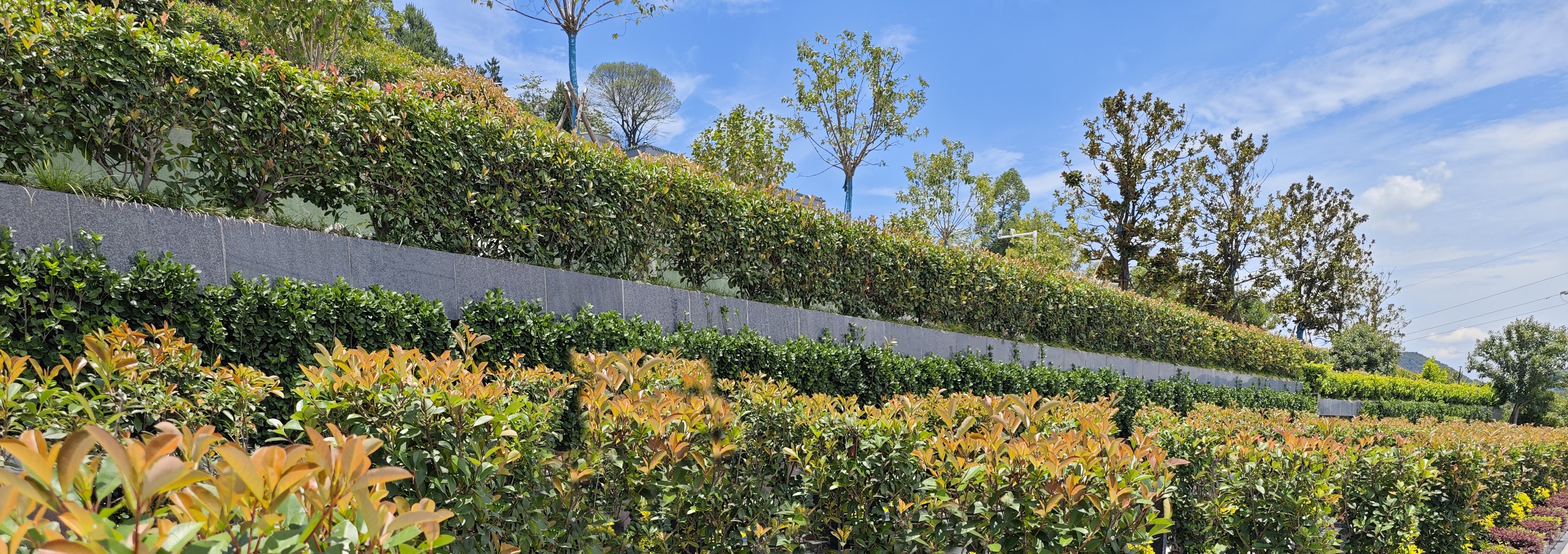 南宫NG28相信品牌的实力网址(中国)官网