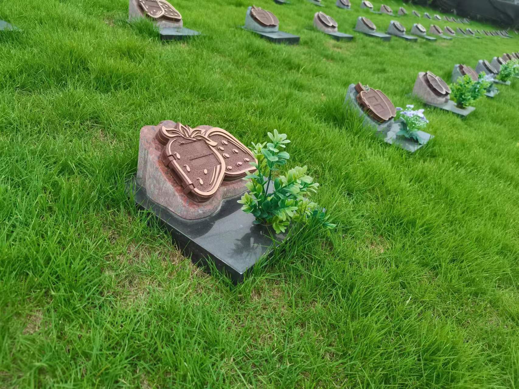 南宫NG28相信品牌的实力网址(中国)官网