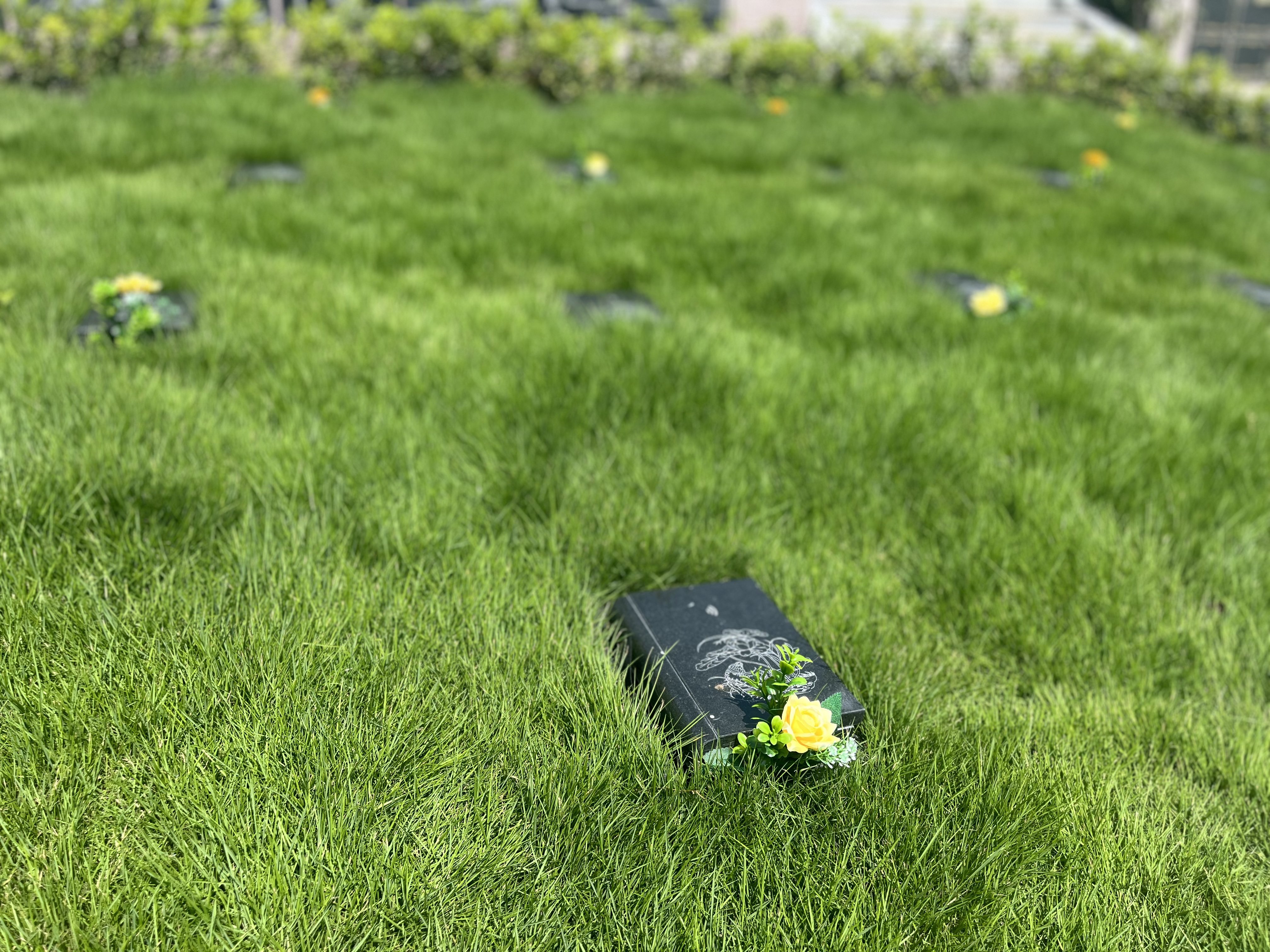 南宫NG28相信品牌的实力网址(中国)官网